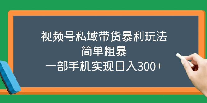 【副业项目5627期】视频号私域带货暴利玩法，简单粗暴，一部手机实现日入300+缩略图