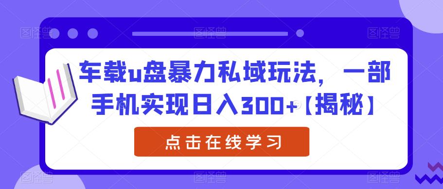 【副业项目6441期】车载u盘暴力私域玩法，一部手机实现日入300+【揭秘】缩略图