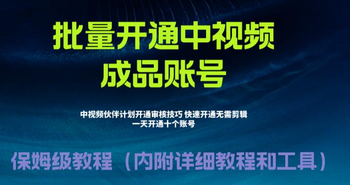 【副业项目6718期】外面收费1980暴力开通中视频计划教程，附 快速通过中视频伙伴计划的办法缩略图