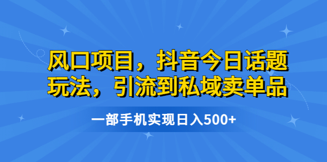 【副业项目6791期】风口项目，抖音今日话题玩法，引流到私域卖单品，一部手机实现日入500+缩略图