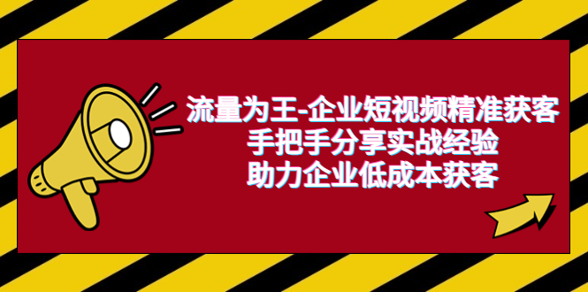 【副业项目6601期】流量为王-企业 短视频精准获客，手把手分享实战经验，助力企业低成本获客缩略图