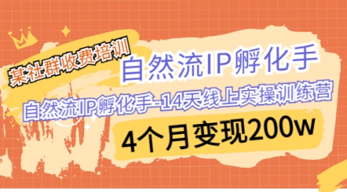 【副业项目7109期】自然流IP孵化手-14天线上实操训练营 4个月变现200w缩略图