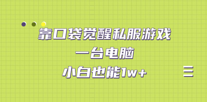 【副业项目7248期】靠口袋觉醒私服游戏，一台电脑，小白也能1w+（教程+工具+资料）缩略图