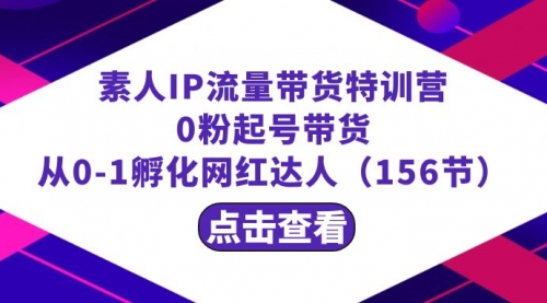 【副业8847期】繁星·计划素人IP流量带货特训营：0粉起号带货 从0-1孵化网红达人（156节）缩略图